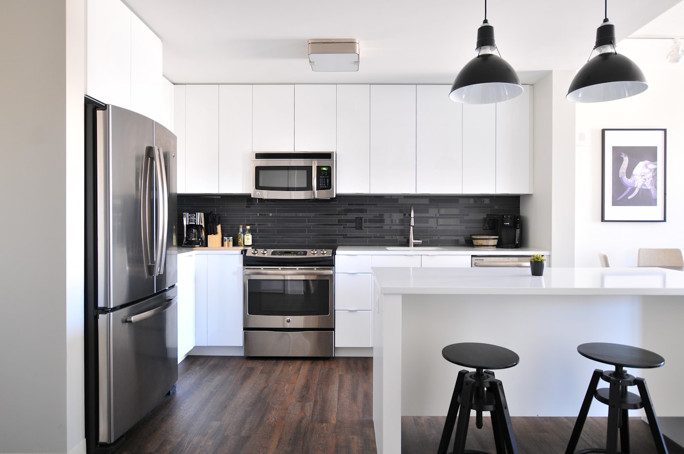 Cafards en appartement : causes, risques et solutions avant location ou vente