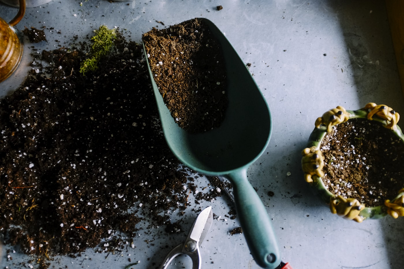 Décoration de jardin pas chère : impact max, budget min